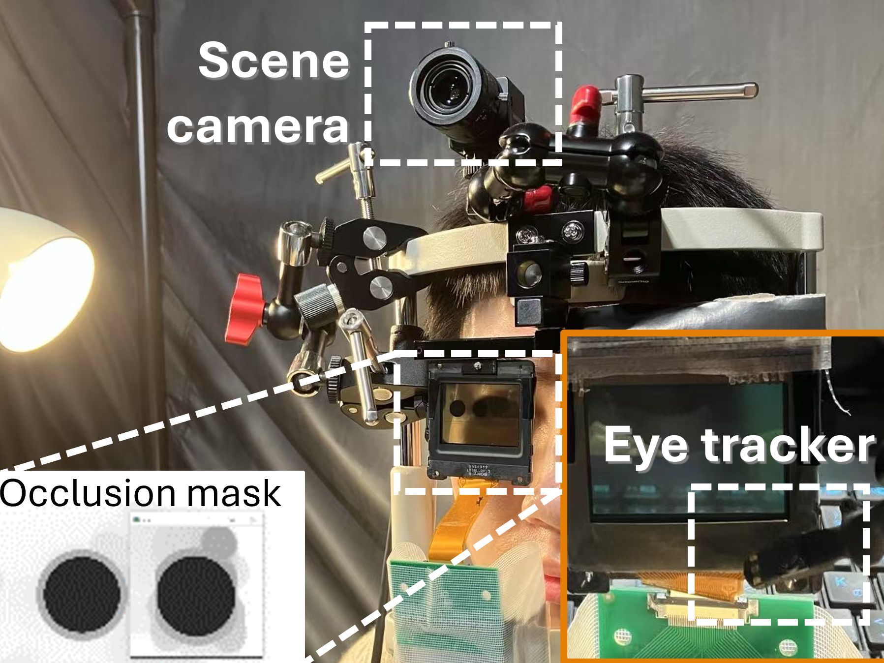 Perception-Driven Soft-Edge Occlusion